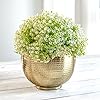 Golden Bowl Planter