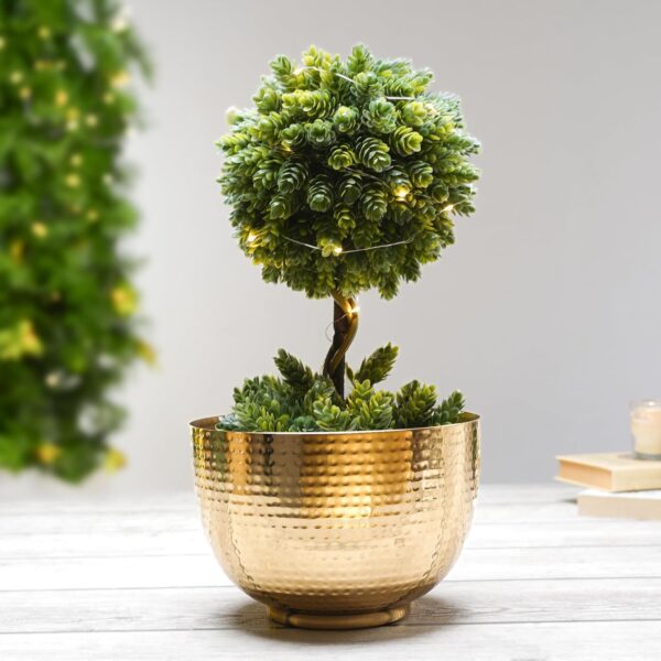 Golden Bowl Planter